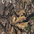 Realtree APX